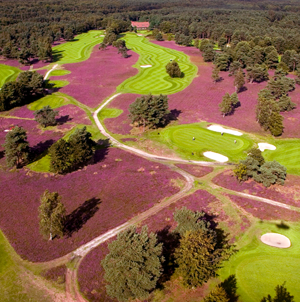 royal limburg golf bird view